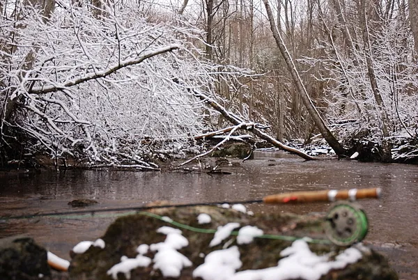 User submitted picture: One April day on trout