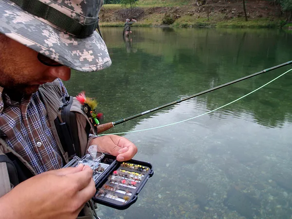 User submitted picture: "difficult choice"